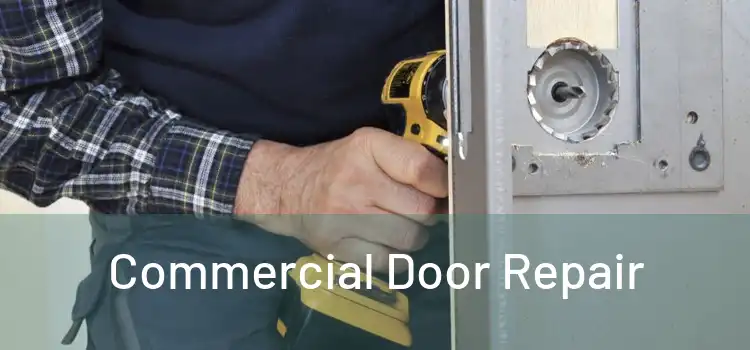 Commercial Door Repair