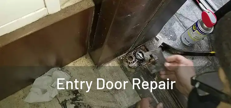 Entry Door Repair